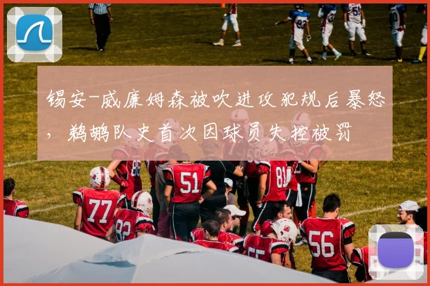 锡安-威廉姆森被吹进攻犯规后暴怒，鹈鹕队史首次因球员失控被罚
